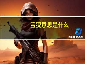 宝猊意思是什么