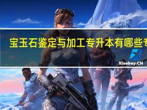 宝玉石鉴定与加工专升本有哪些专业