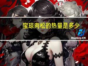 宝琼 肉松的热量是多少