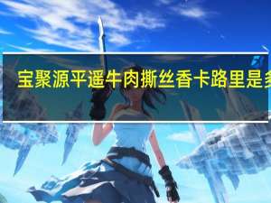 宝聚源 平遥牛肉撕丝香卡路里是多少