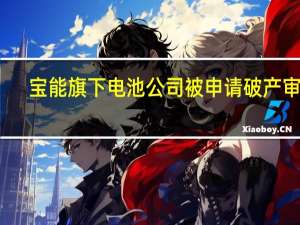 宝能旗下电池公司被申请破产审查