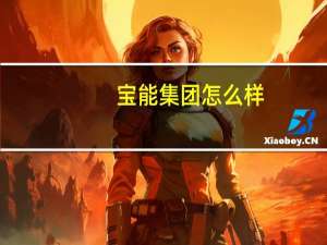 宝能集团怎么样