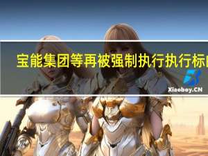 宝能集团等再被强制执行 执行标的7.8亿