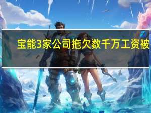 宝能3家公司拖欠数千万工资被罚