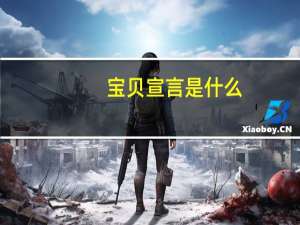 宝贝宣言是什么（宝贝宣言）