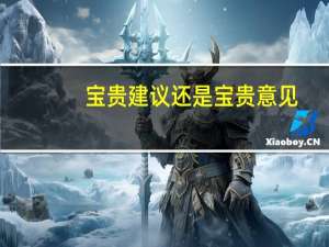宝贵建议还是宝贵意见