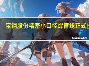 宝钢股份精密小口径焊管线正式投产