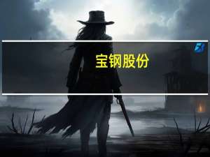 宝钢股份：目前正在对碳核算信息系统进行第三方认证也在准备对碳申报信息系统优化