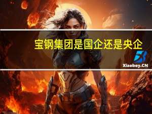 宝钢集团是国企还是央企