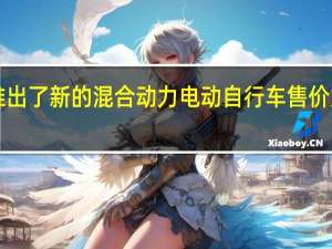 宝马推出了新的混合动力电动自行车 售价为3400欧元