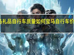 宝马礼品自行车质量如何 宝马自行车价格及图片