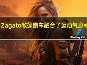宝马Zagato敞篷跑车融合了运动气息和优雅气质