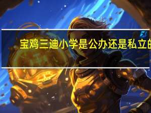 宝鸡三迪小学是公办还是私立的