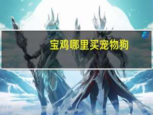 宝鸡哪里买宠物狗