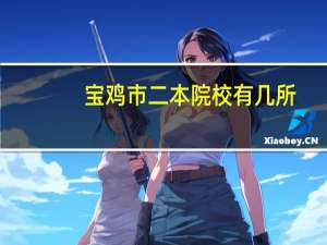 宝鸡市二本院校有几所