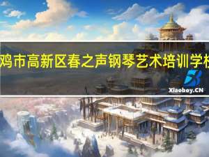 宝鸡市高新区春之声钢琴艺术培训学校怎么样