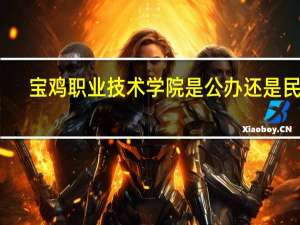 宝鸡职业技术学院是公办还是民办
