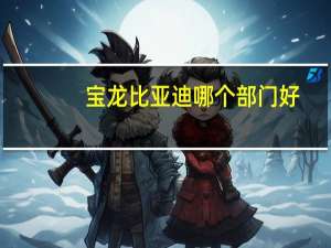 宝龙比亚迪哪个部门好