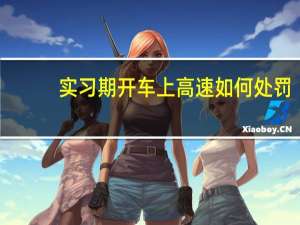 实习期开车上高速如何处罚