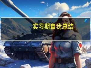 实习期自我总结