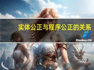 实体公正与程序公正的关系