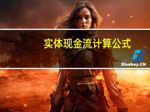 实体现金流计算公式