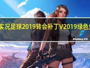 实况足球2019转会补丁 V2019 绿色免费版（实况足球2019转会补丁 V2019 绿色免费版功能简介）