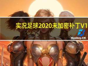 实况足球2020未加密补丁 V1.0 免费版（实况足球2020未加密补丁 V1.0 免费版功能简介）