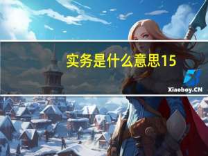 实务是什么意思15