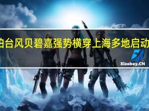 实拍台风贝碧嘉强势横穿上海 多地启动应急响应