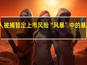 实控人被捕 暂定上市风险 “风暴”中的暴风何去何从？