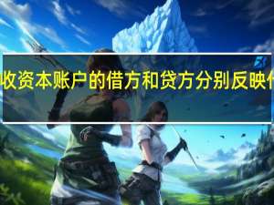 实收资本账户的借方和贷方分别反映什么内容