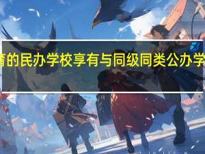实施学历教育的民办学校享有与同级同类公办学校同等的招生权吗