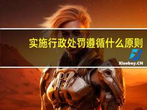 实施行政处罚遵循什么原则
