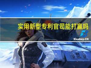 实用新型专利官司能打赢吗（实用新型专利官费多少）