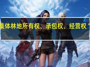 实行集体林地所有权、承包权、经营权“三权分置”