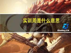 实训周是什么意思