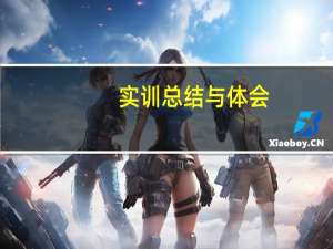 实训总结与体会