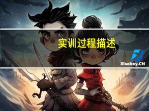 实训过程描述