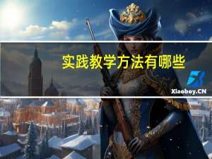实践教学方法有哪些