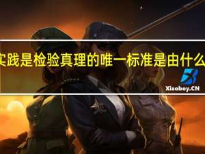 实践是检验真理的唯一标准是由什么决定的