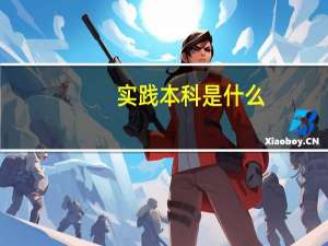 实践本科是什么