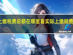 实际上缴税费总额在哪里看实际上缴税费总额怎么算