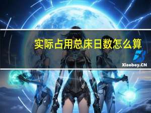 实际占用总床日数怎么算