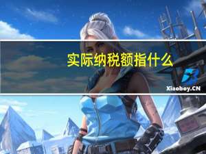 实际纳税额指什么