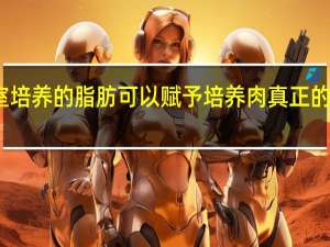 实验室培养的脂肪可以赋予培养肉真正的风味和质地