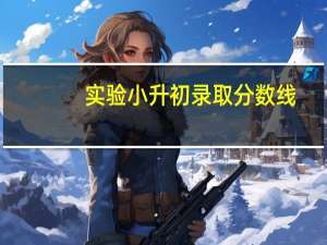 实验小升初录取分数线