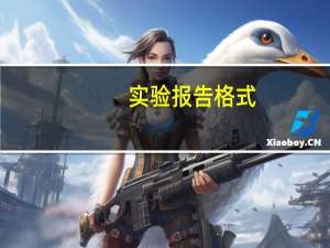 实验报告格式