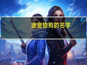 宠宠物狗的名字