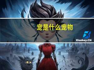宠是什么宠物